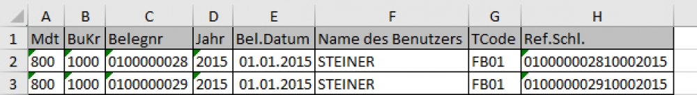 Ausschnitt der Musterdatei
