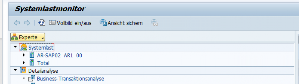 Der Systemlastmonitor im SAP-System.