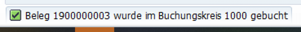 Erneute Belegbuchung im Buchungskreis 1000.